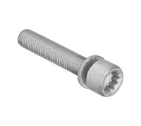 Febi Bilstein 48817 Schraube, Bremssattel hinten