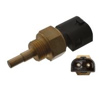 febi bilstein | Sensor, Öltemperatur | 39241