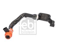 febi bilstein Ventil, Kurbelgehäuseentlüftung febi Plus 183645