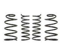 Federn EIBACH Pro Kit E10-35-016-01-22
