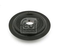 Federplatte Vorderachse 26854 FEBI BILSTEIN für PEUGEOT FIAT CITROËN