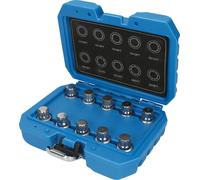 Felgenschloss-Sortiment für BMW, 10-tlg Brilliant Tools BT691170