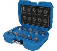 Brilliant Tools Felgenschloss-Sortiment für BMW, 10-tlg
