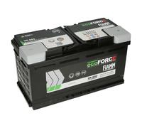 Fiamm VR850 AGM Batterie