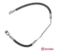 Flexibler Bremsschlauch T 06 015 BREMBO für BMW X5