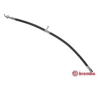 Flexibler Bremsschlauch T 11 013 BREMBO für CITROËN PEUGEOT TOYOTA