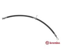 Flexibler Bremsschlauch T 23 041 BREMBO für FIAT PUNTO PUNTO Kasten/Schrägheck