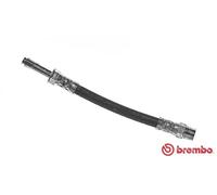 Flexibler Bremsschlauch T 24 099 BREMBO für FORD SEAT VW