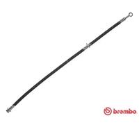 Brembo | Bremsschlauch | T 56 151