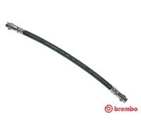 Flexibler Bremsschlauch T 61 037 BREMBO für CITROËN PEUGEOT