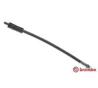 Flexibler Bremsschlauch T 68 028 BREMBO für RENAULT CLIO I TWINGO II CLIO II