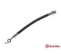 Flexibler Bremsschlauch T 83 121 BREMBO für TOYOTA COROLLA Verso
