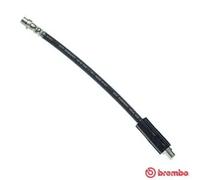 Flexibler Bremsschlauch T 85 039 BREMBO für AUDI A6 C4 A6 C4 Avant 100 C4 Avant