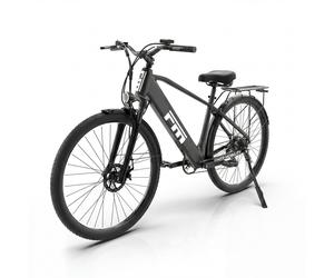 FM M1 E-Bike mit tiefem Einstieg, 36V 250W Motor & 13Ah Akku 1 St