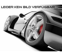 FMS Duplex-Sportauspuff Stahl für Kia Pro Cee`d 3-türer ED, 03.08-02.13 2.0l 105