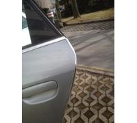 Ford C-Max Türkantenschutz U Profil Chrom Kantenschutz 100 Cm 2 St Kit