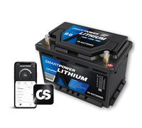 FORSTER 110Ah 12,8V 1344Wh SMART POWER Lithium LiFePO4 Batterie mit... - 0 % MwSt. (gem. § 12 Abs. 3 UStG)