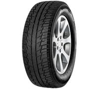 Fortuna Winter SUV 235/55 R18 104H XL M+S Winterreifen