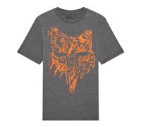 Fox IMAGE Kids SS T-Shirt PRINT HD grau YM