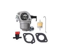 Fr Intek Rasentraktor Vergaser Ersatzteile Kit kompatibel mit Modellen