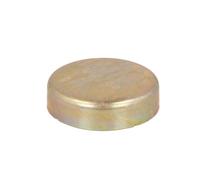 Febi Froststopfen Zylinderblock 45mm passend für 2500-3.3 3er 5er 7er Z1 Z3