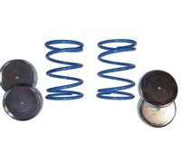 für Iveco Daily VI MAD Zusatzfedern Höherlegungsfedern Verstärkung Blattfeder HA