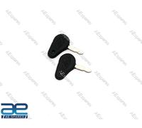 Für Mahindra Traktor Zündschloss Schlüssel Paar OEM 005555207R1 @ US