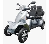 Futura VITA CARE 4000 Duo Li Elektromobil - Seniorenmobil 25 km/h, 1000 W, 60 V/20 Ah Lithium-Akku, bis 50 km Reichweite, Straßenzulassung, Light Grey