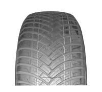 Ganzjahresreifen 205/65 R16 95H Antares PolyMax 4S 3PMSF | 57557