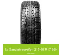 Ganzjahresreifen Roadstone N-Priz 4S 3PMSF 215/60 R17 96H | 12909