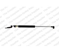 Gasfeder, Koffer-/Laderaum