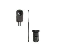 Gasfeder, Koffer-/Laderaum