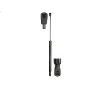 Gasfeder, Koffer-/Laderaum STABILUS 105194 für AUDI Q7 (4LB) 3 2010-2015
