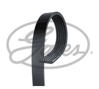 Keilrippenriemen GATES 6PK1880