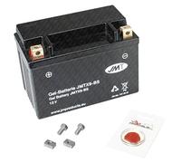 Gel-Batterie für Honda FES 125 Pantheon, 1998-2002 (JF05),8 AH, wartungsfrei, inkl. Pfand €7,50