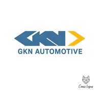 Gelenk Lenksäule Kreuzgelenk Dauerschmierung 51mm SPIDAN für JAGUAR XK Cabriolet