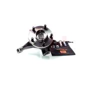 Achsschenkel AGHGH-282566H GH
