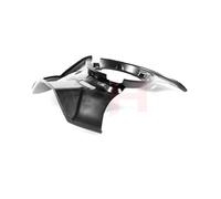 GH Ankerblech Spritzblech Bremsscheibe vorne für Hyundai Sonata V NF Grandeur TG