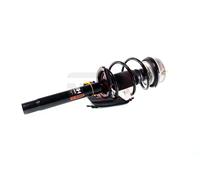 GH Federbein gh351539c04 Vorderachse links für BMW