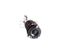 GH Federbein gh351602c04 Vorderachse links für BMW MINI