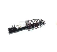 2x Komplett Stoßdämpfer Federbein Satz Vorne für Fiat Panda II 169 2003- 1.1 1.2