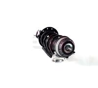 GH Federbein gh352389c09 Vorderachse links für Volvo Opel Vaughall GM LANCIA ALFA ROMEO Fiat ALFAROME/Fiat/LANCI ABARTH ROVER TOYOTA
