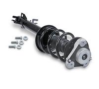 Gh Federbein komplett vorne [Hersteller-Nr. GH-351960C01] für Citroën, Fiat, Peugeot