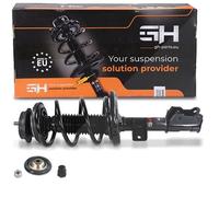 Gh Federbein komplett vorne [Hersteller-Nr. GH-352358C05] für Fiat