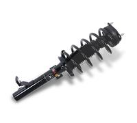 GH Federbein Links, Rechts, Vorderachse für FORD