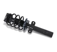 GH Federbein komplett vorne GH-352566C01