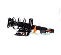 Gh Federbein komplett vorne [Hersteller-Nr. GH-352549C04] für Ford