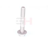 GH Schraubensatz, Federbein-Radlagergehäuse GH-391561 für BMW