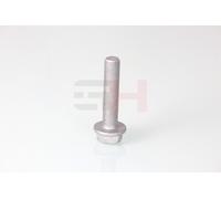 GH Schraubensatz, Federbein-Radlagergehäuse gh393366 für Mercedes