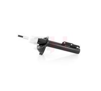 GH Stoßdämpfer GH-322580 für FORD
